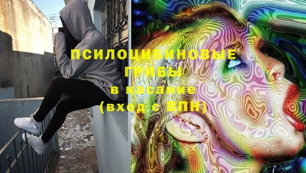 прущий лед Белокуриха